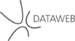 Dataweb logo